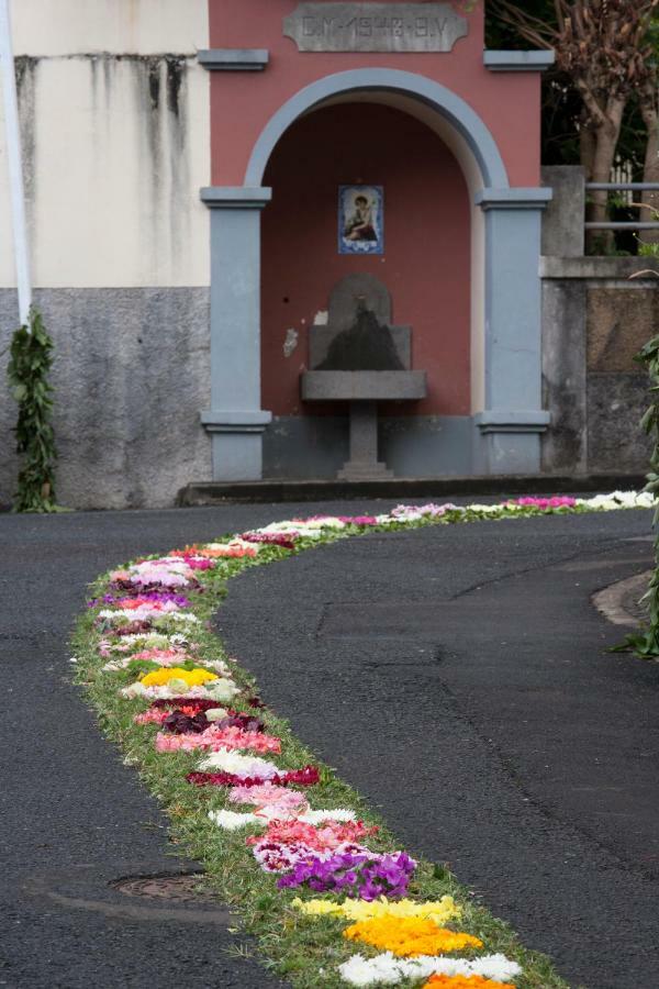 Antonella Home Funchal Exterior foto